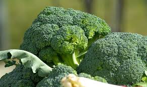 broccoli pic